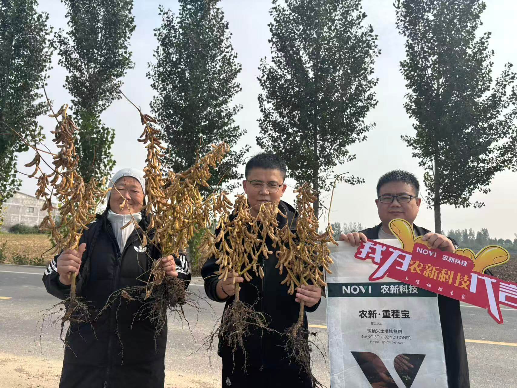 大豆连作改良回访